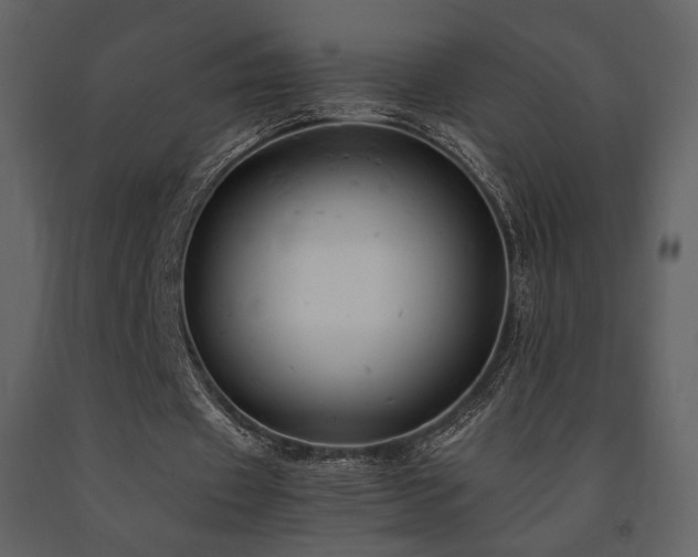 X0000091660433200708231309