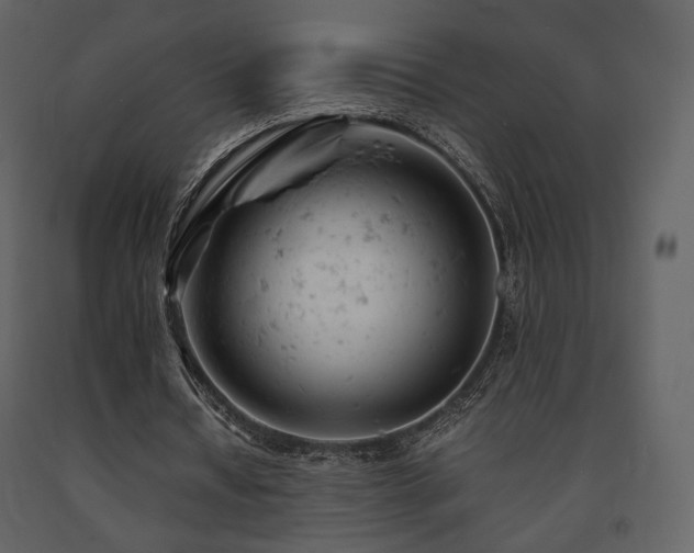 X0000091660434200708231309