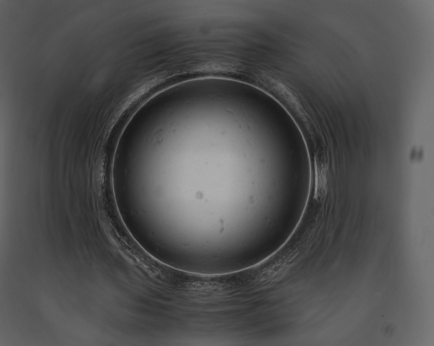 X0000091660435200708231309