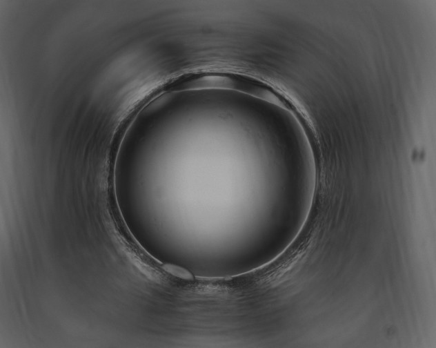 X0000091660437200708231309