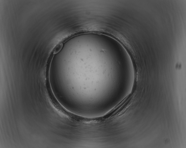 X0000091660438200708231309