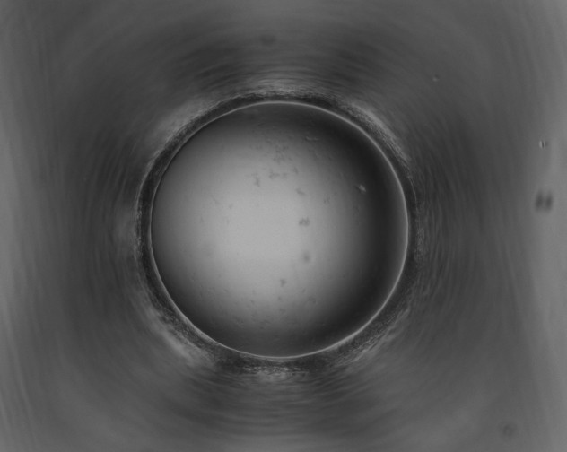 X0000091660439200708231309