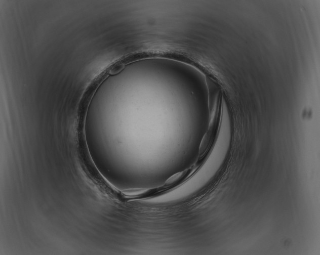X0000091660440200708231309