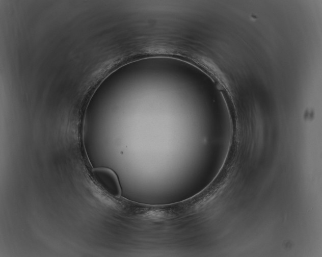 X0000091660441200708231309