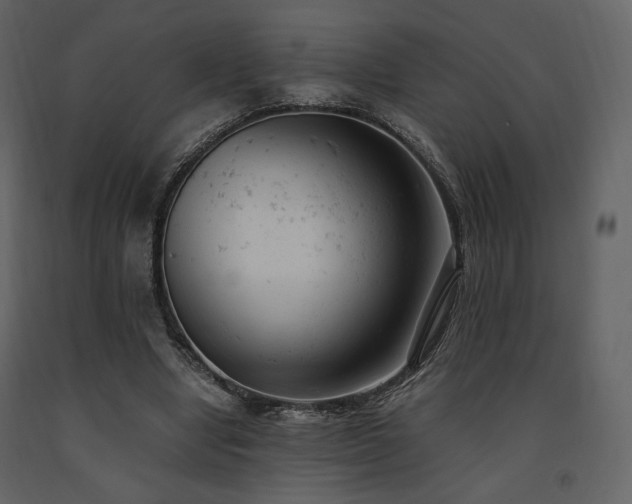 X0000091660442200708231309