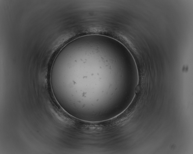 X0000091660443200708231310
