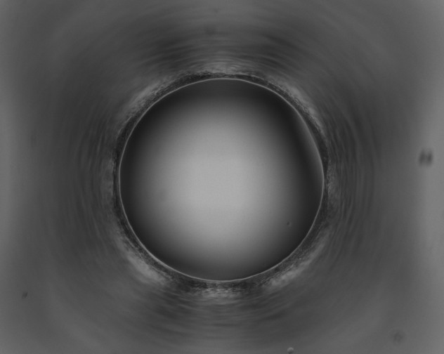 X0000091660445200708231310