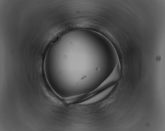 X0000091660446200708231310