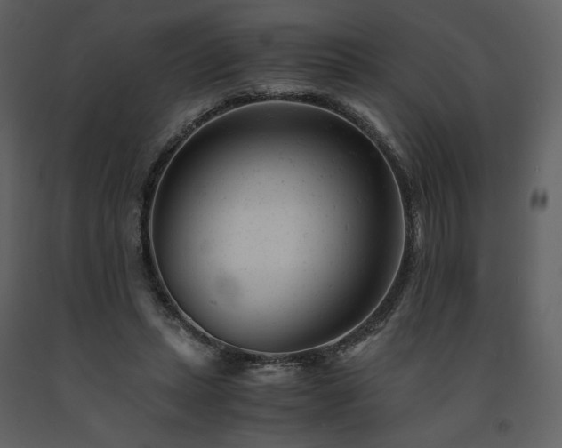 X0000091660447200708231310