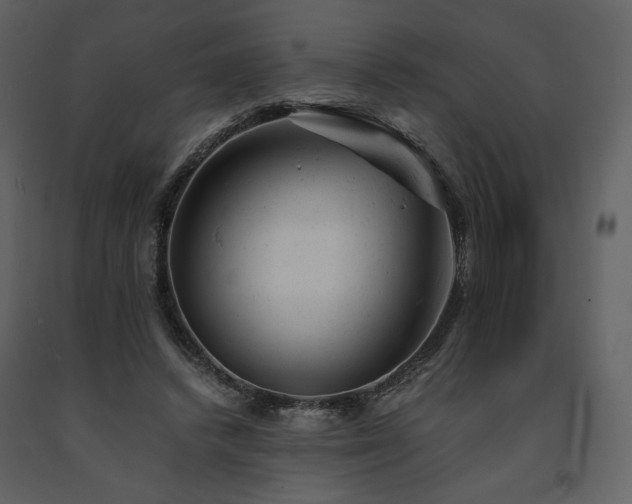 X0000091660448200708231310