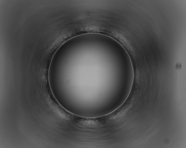X0000091660449200708231310