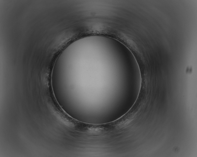 X0000091660450200708231310