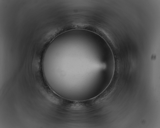 X0000091660451200708231310