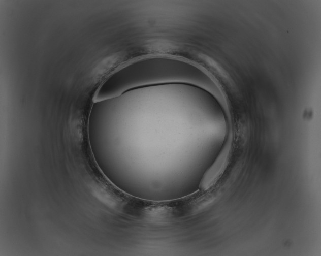 X0000091660452200708231310