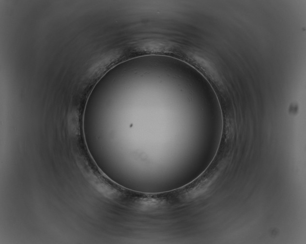 X0000091660453200708231310