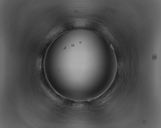 X0000091660454200708231310