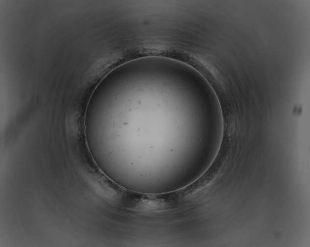 X0000091660455200708231310