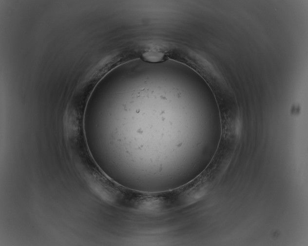 X0000091660456200708231310