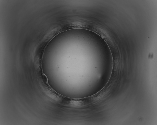 X0000091660457200708231310