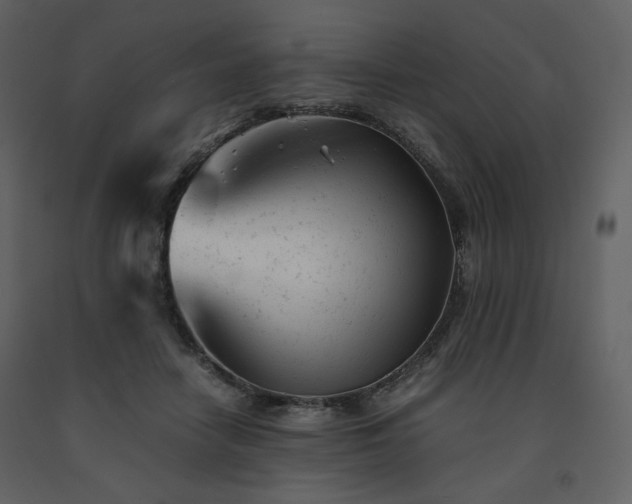 X0000091660458200708231310