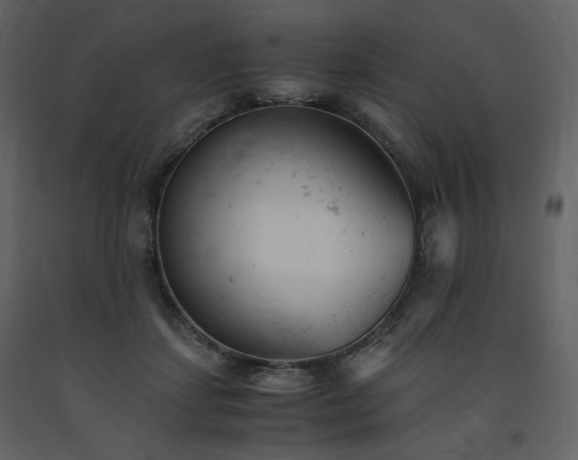 X0000091660459200708231310