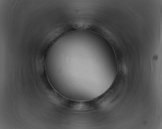 X0000091660460200708231310