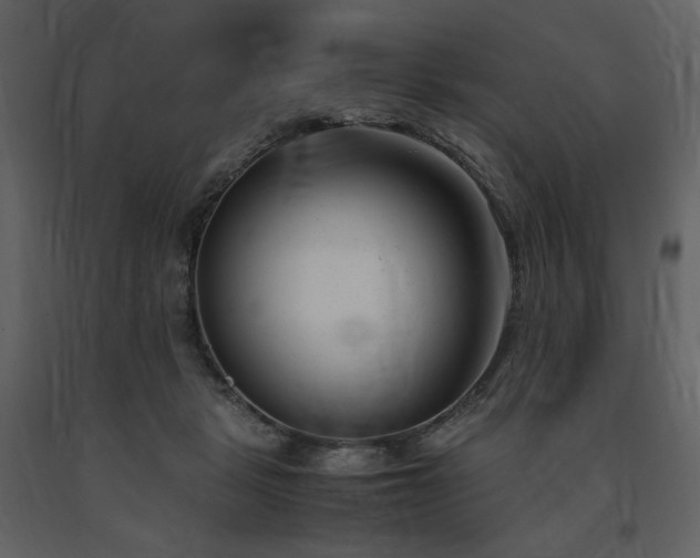 X0000091660461200708231310