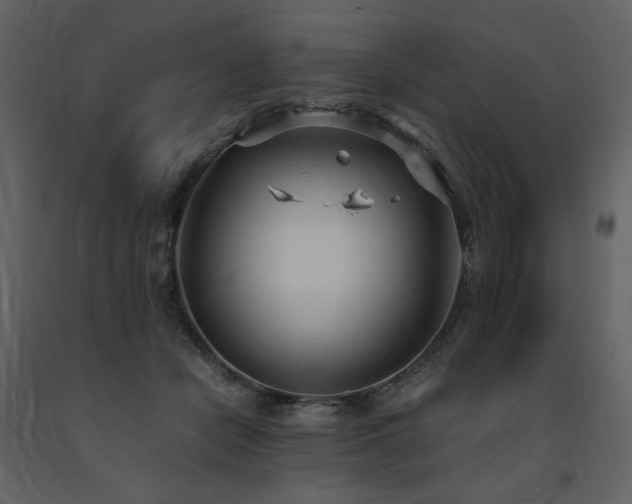 X0000091660462200708231310