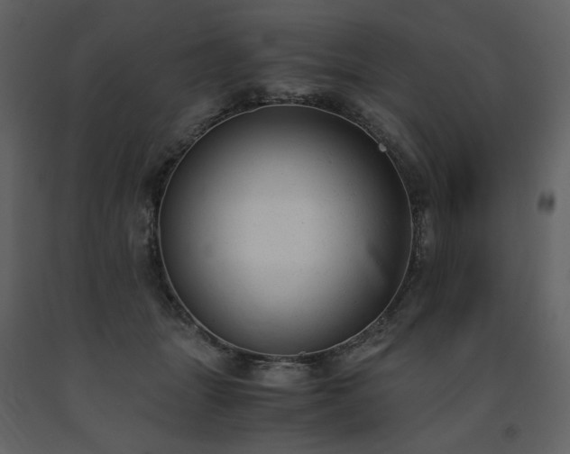 X0000091660463200708231310