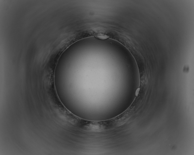 X0000091660464200708231310