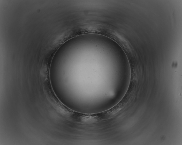 X0000091660465200708231310
