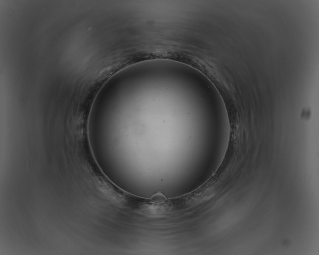 X0000091660466200708231310