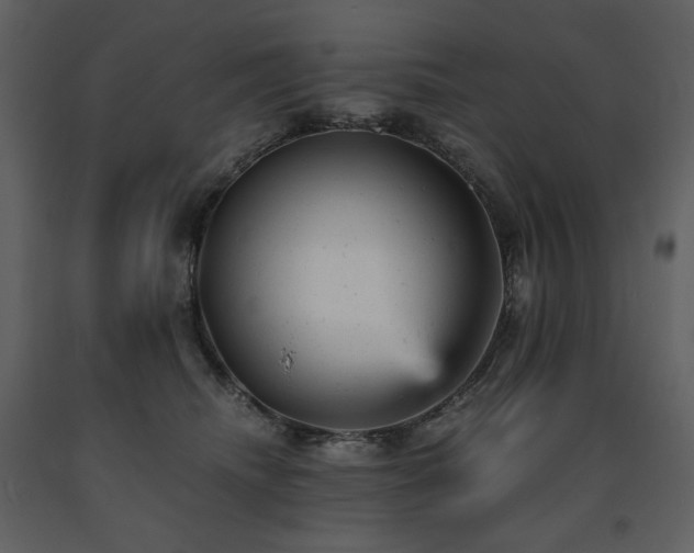 X0000091660468200708231310
