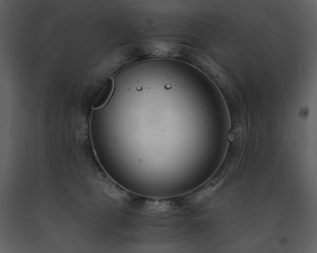 X0000091660469200708231310