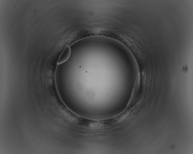 X0000091660470200708231310