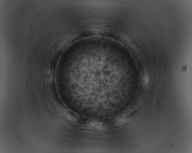 X0000091660471200708231310