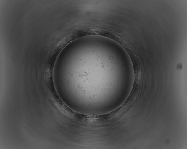 X0000091660472200708231310