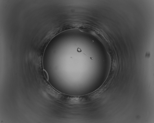 X0000091660473200708231310