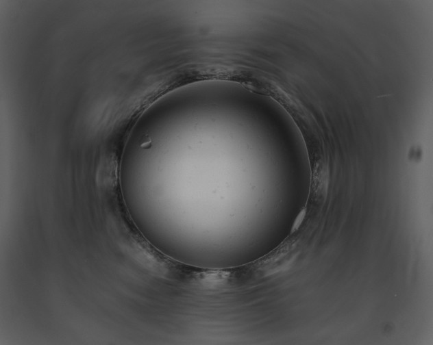 X0000091660474200708231310