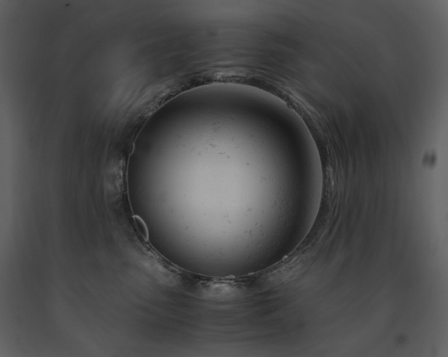 X0000091660475200708231310