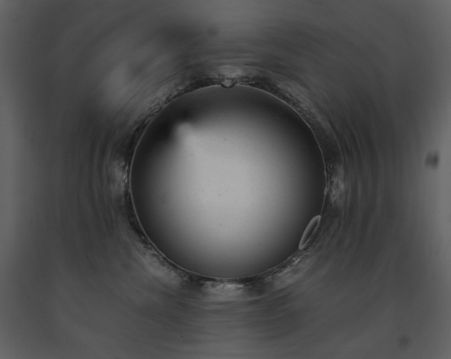X0000091660476200708231310