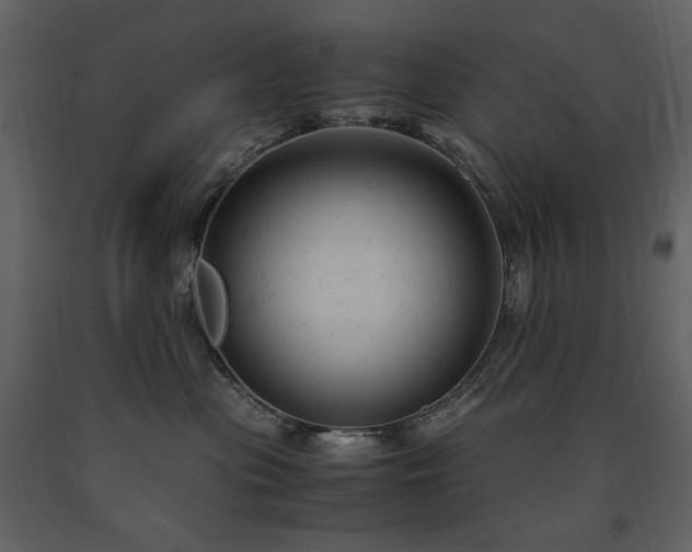 X0000091660477200708231310