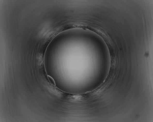 X0000091660478200708231310