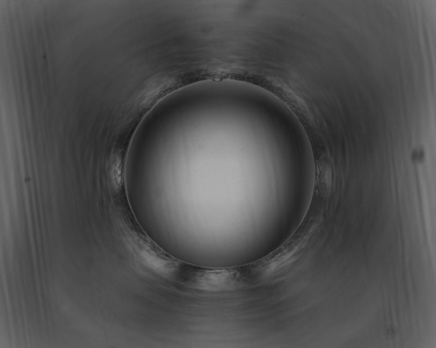 X0000091660479200708231310