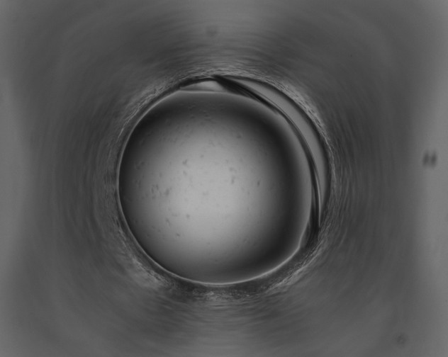 X0000091660481200708231309