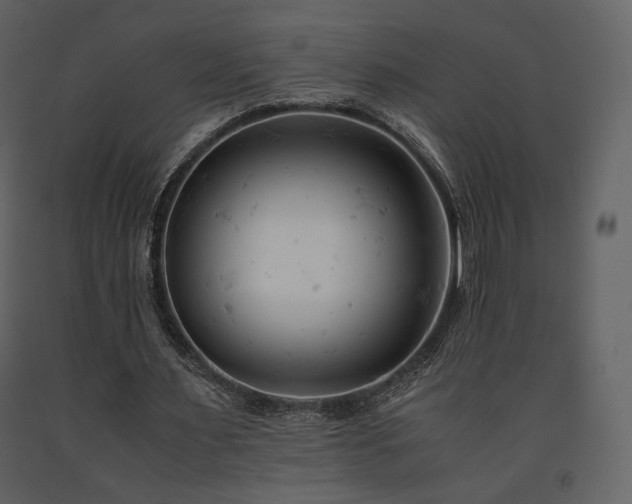X0000091660483200708231309
