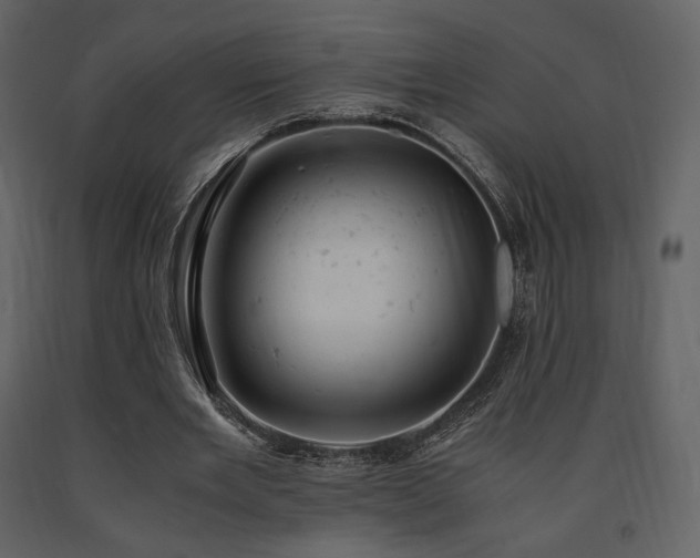 X0000091660485200708231309
