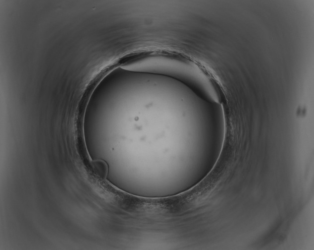 X0000091660487200708231309