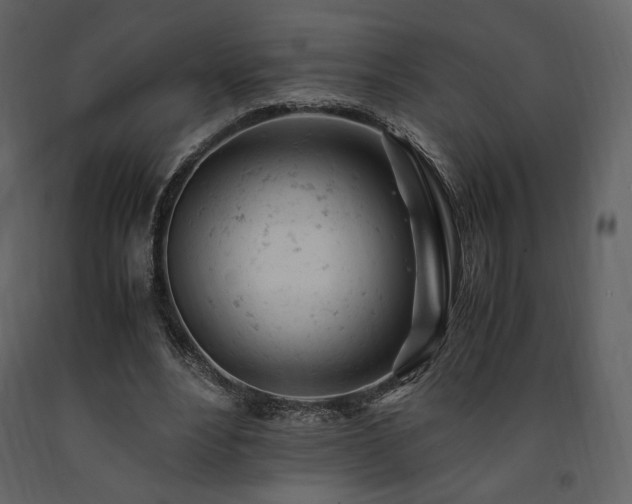 X0000091660488200708231309