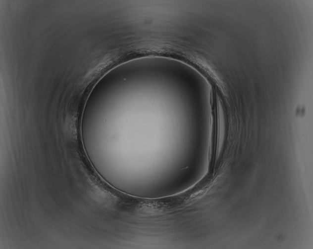 X0000091660489200708231309